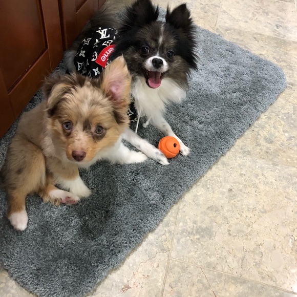 Meet your Posher, SamiK - Picture 4 of 5